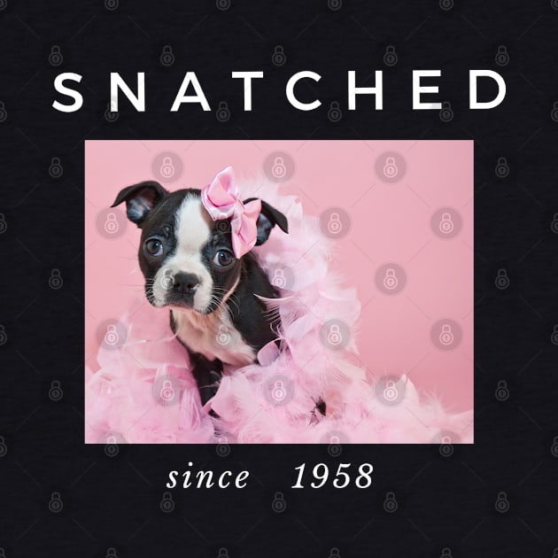 1958 Millennial Snatched Boston Terrier Dog Lover by familycuteycom